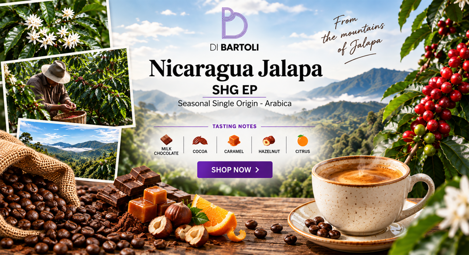 Seasonal – Nicaragua Jalapa SHG EP Organic Single Origin Roasted Coffee Beans