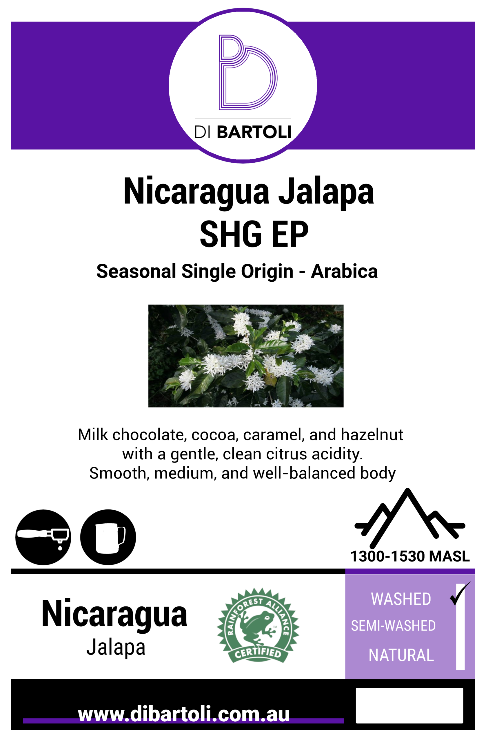 Seasonal - Nicaragua Jalapa SHG EP Organic Single Origin Roasted Coffee Beans